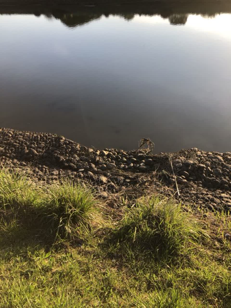 The photograph attached to this wastewater/stormwater report