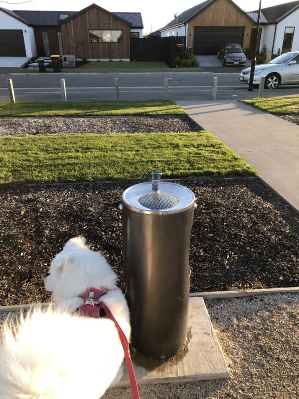 The photograph attached to this parks report