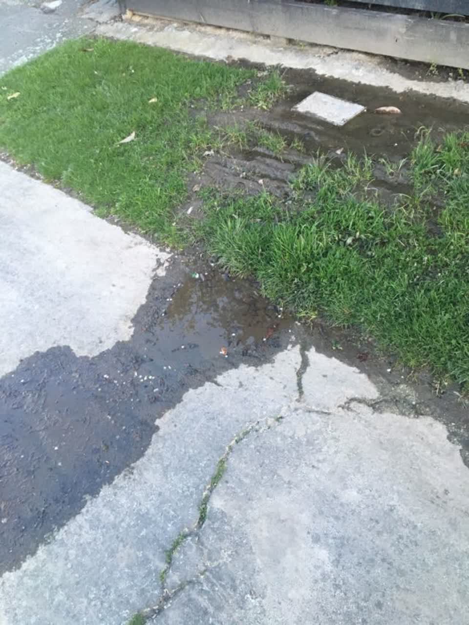 The photograph attached to this water supply report