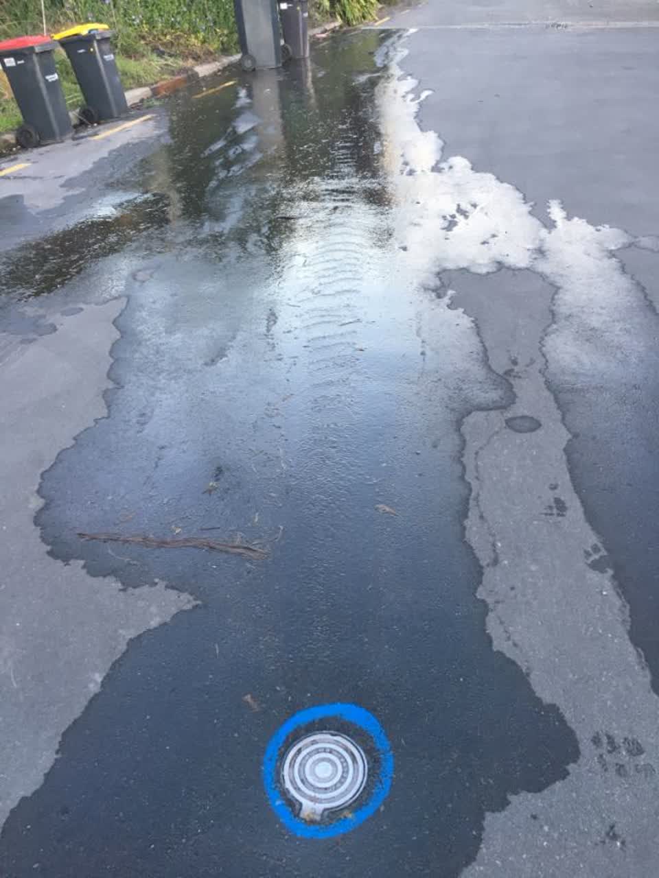 The photograph attached to this roading/streets report