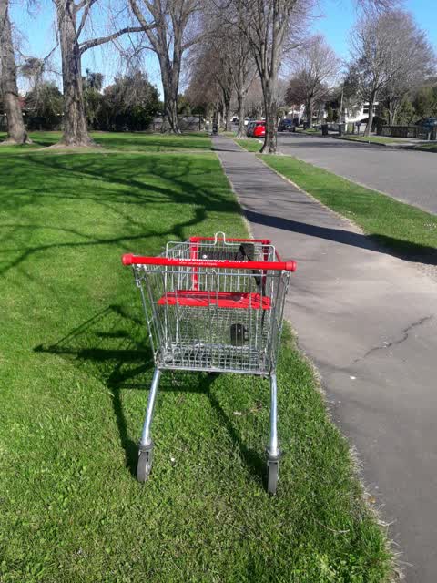 Parks, a report photo