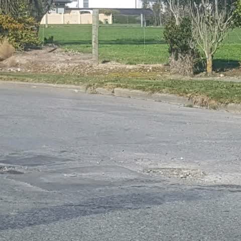 Roading/Streets, a report photo