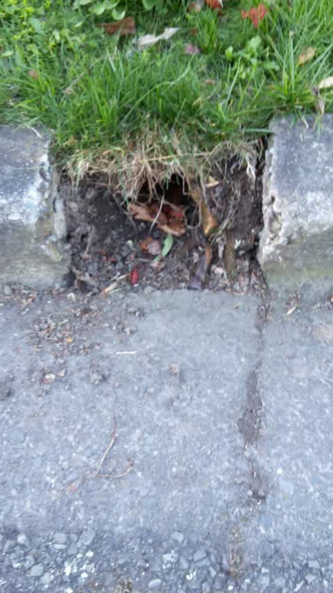 Wastewater/Stormwater, a report photo