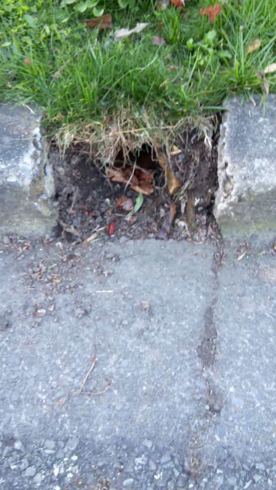 The photograph attached to this wastewater/stormwater report