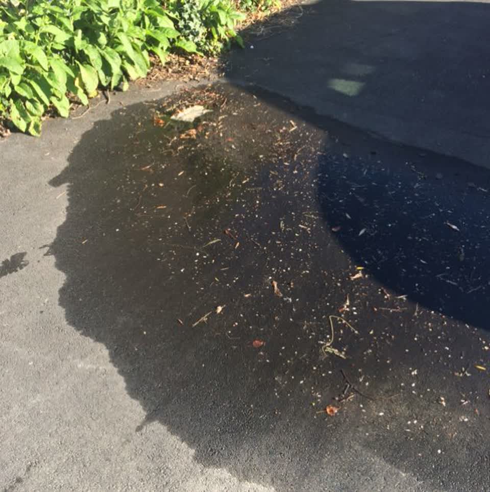 The photograph attached to this water supply report