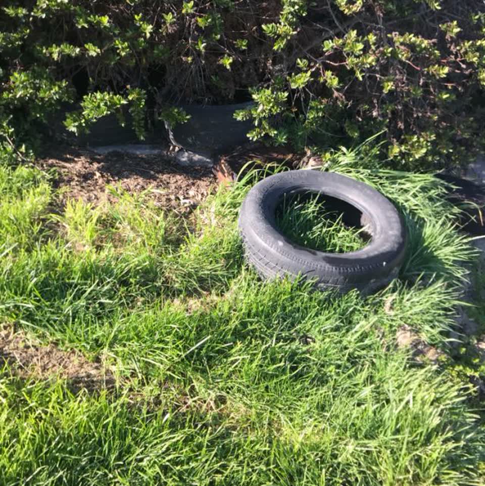 The photograph attached to this rubbish/recycling report