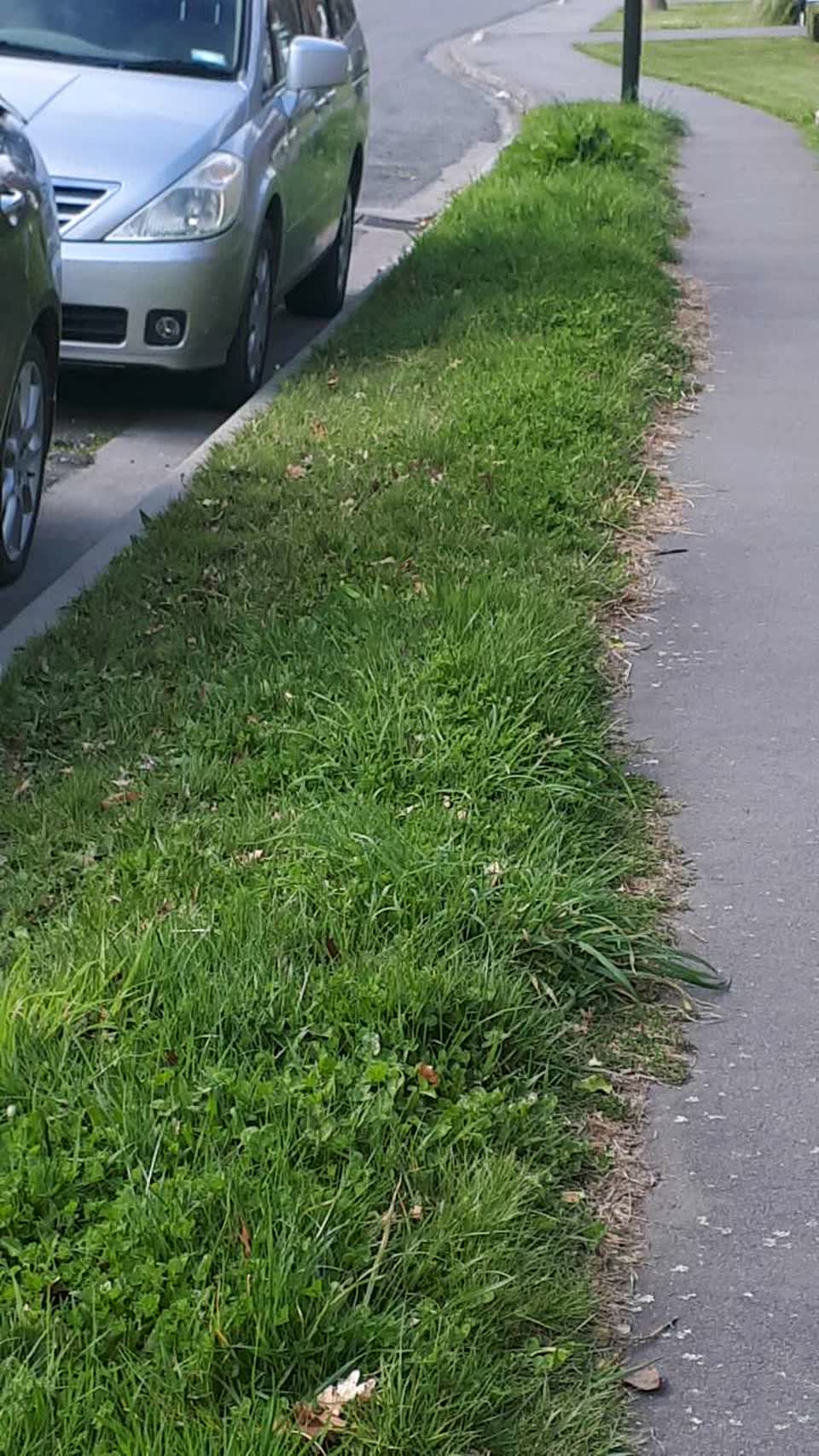 The photograph attached to this parks report