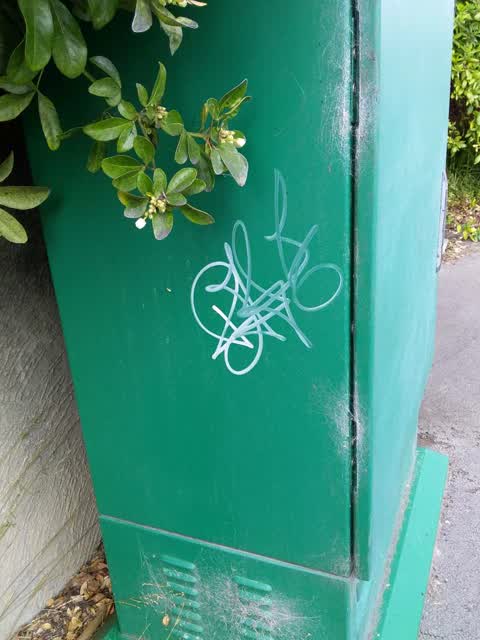Graffiti, a report photo