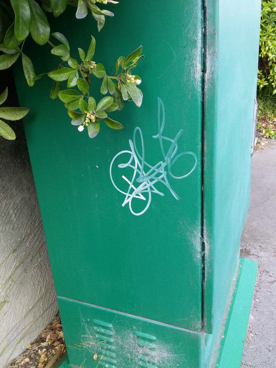 The photograph attached to this graffiti report