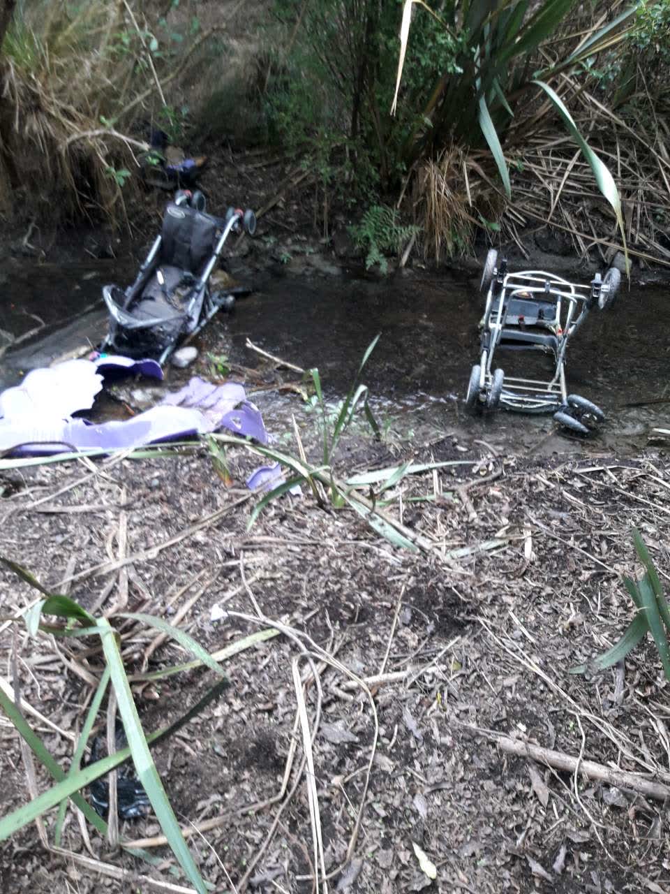 The photograph attached to this parks report