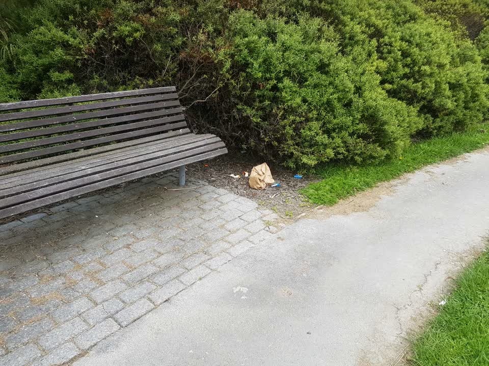 The photograph attached to this parks report