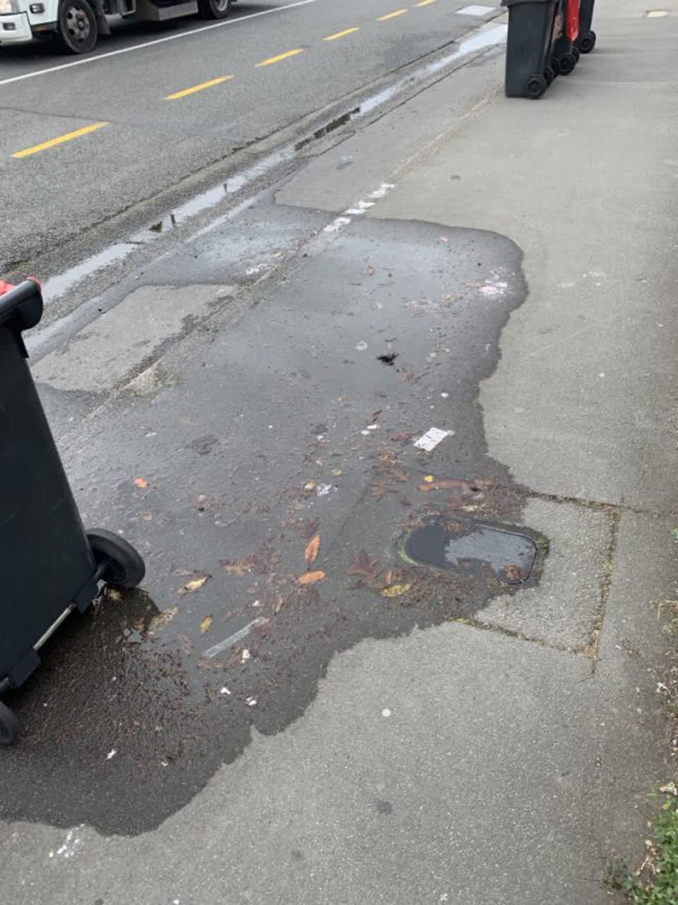 The photograph attached to this water supply report