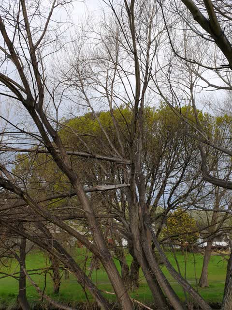 Parks, a report photo