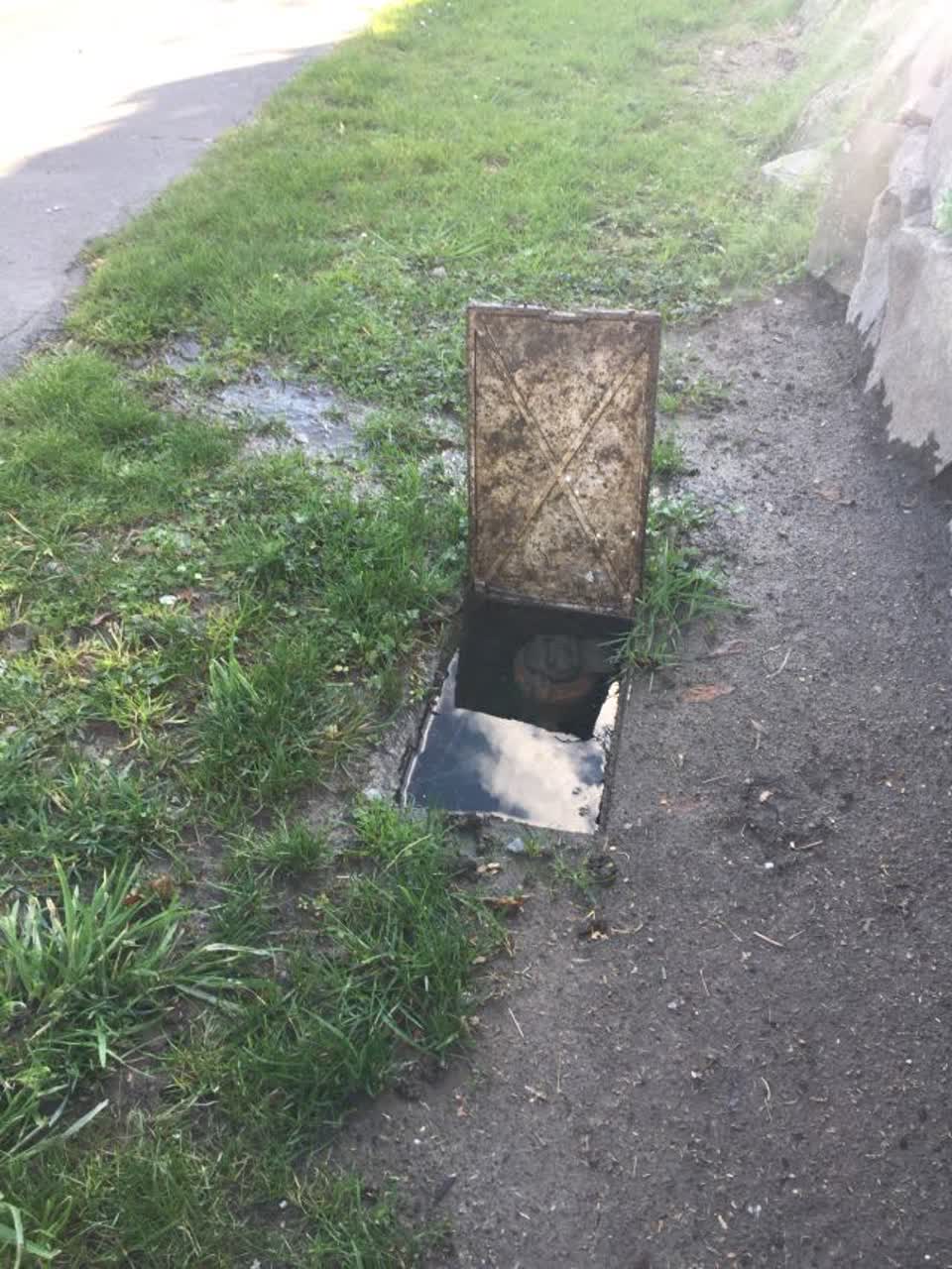 The photograph attached to this water supply report