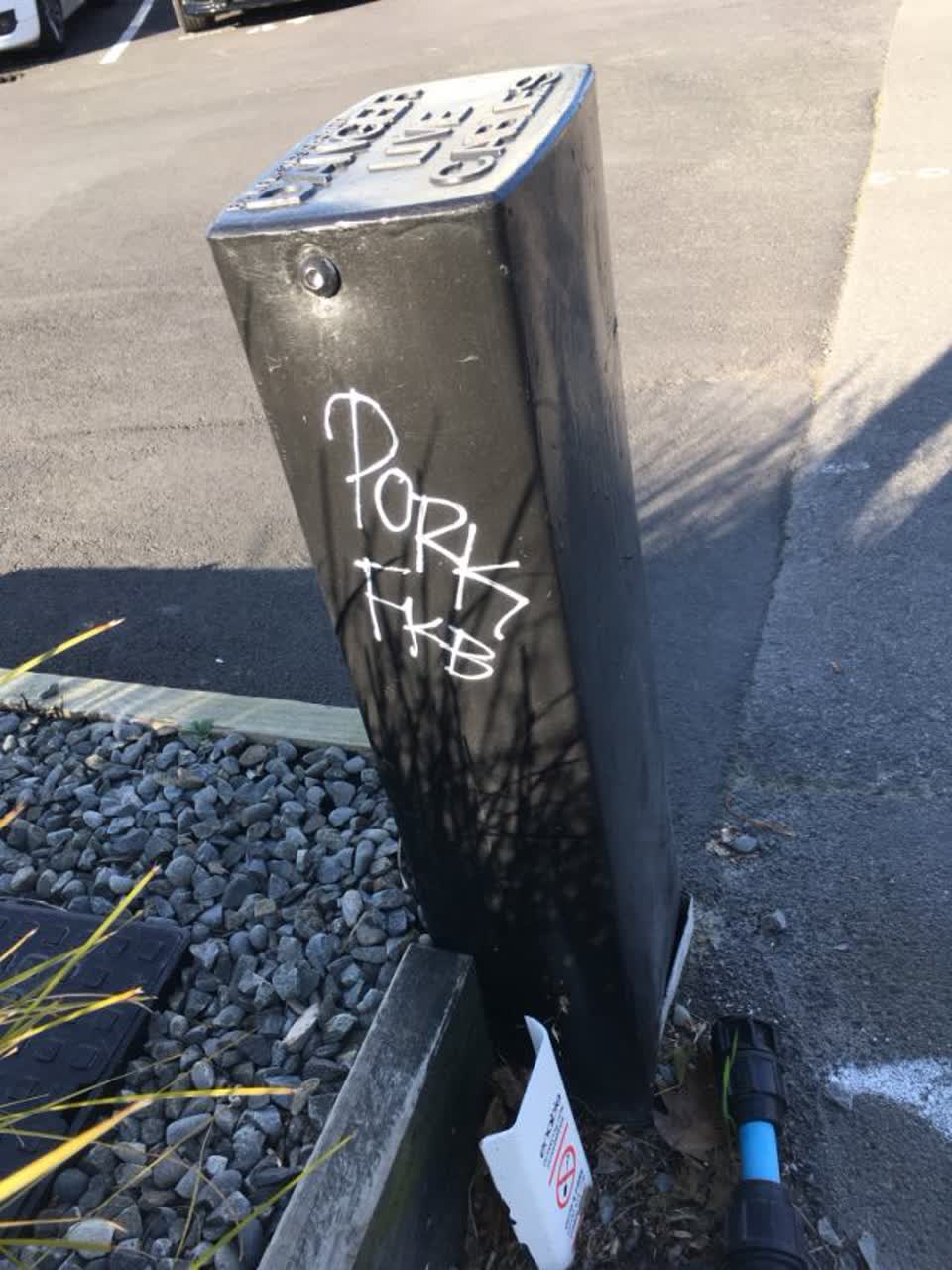 The photograph attached to this graffiti report