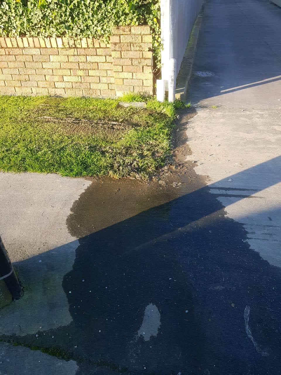 The photograph attached to this water supply report