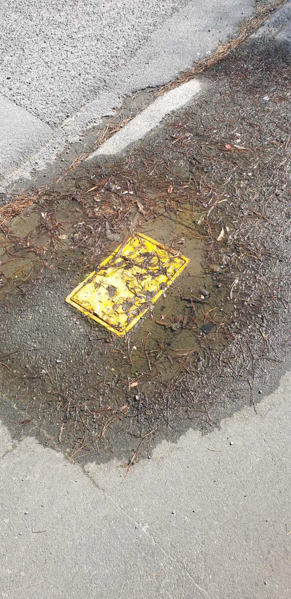 The photograph attached to this water supply report