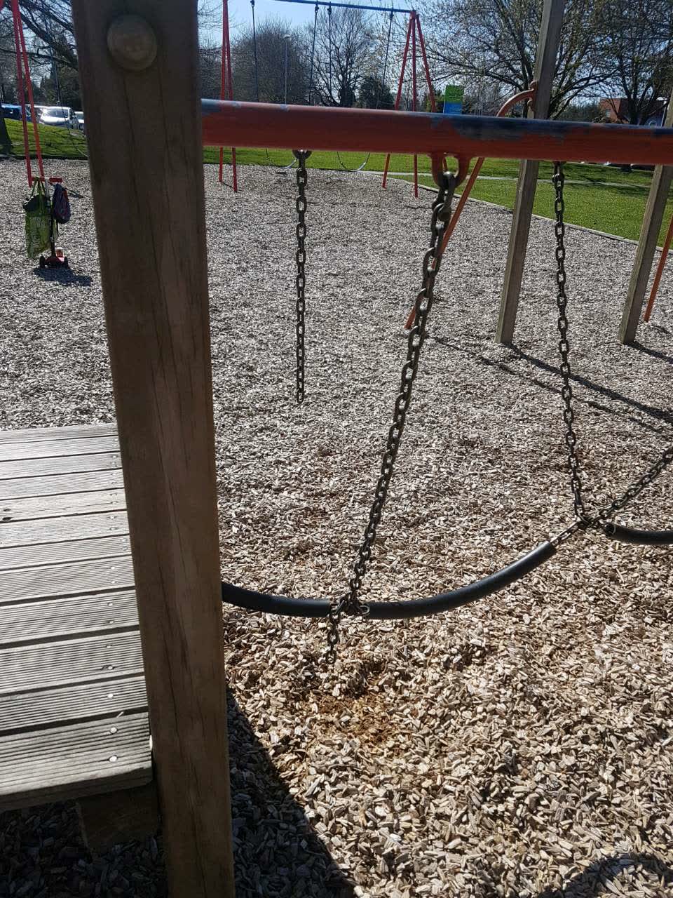 The photograph attached to this parks report
