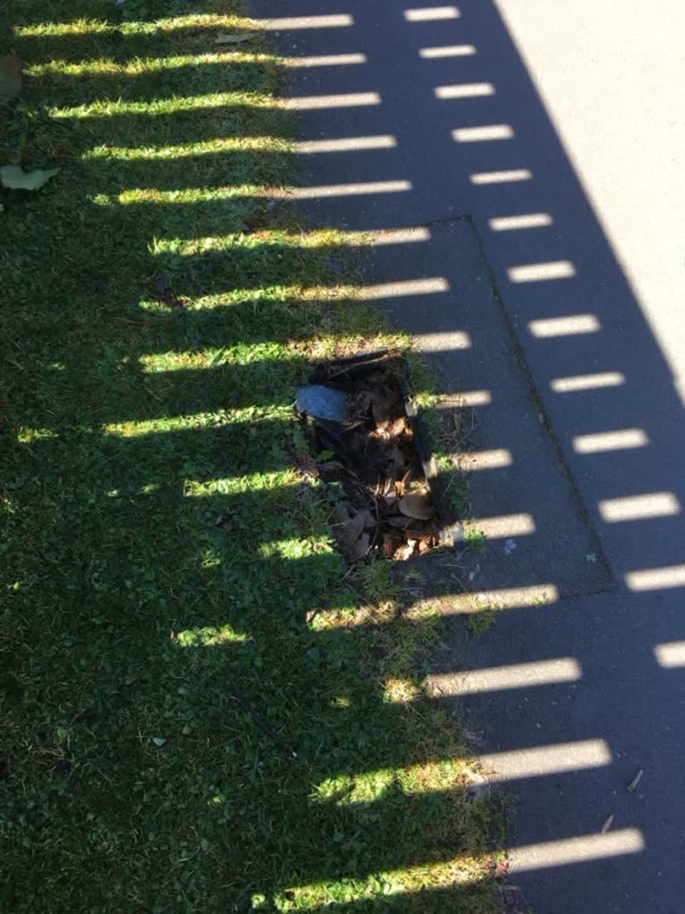 The photograph attached to this water supply report