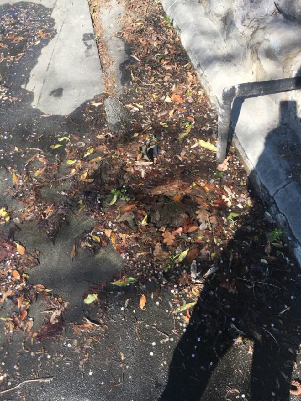 The photograph attached to this flooding report