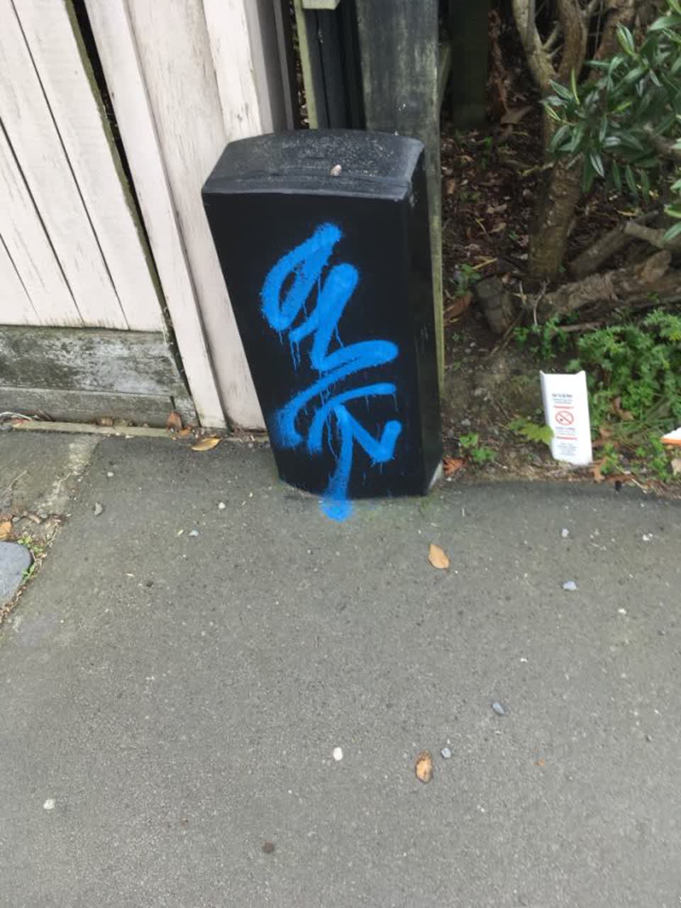 The photograph attached to this graffiti report