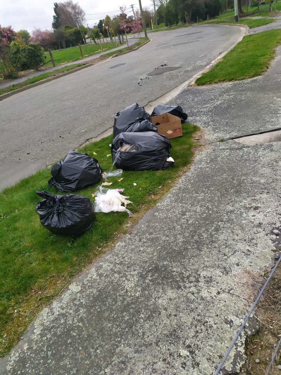 The photograph attached to this rubbish/recycling report
