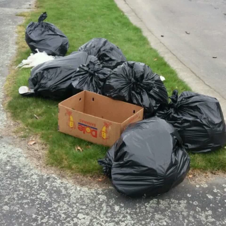 The photograph attached to this rubbish/recycling report