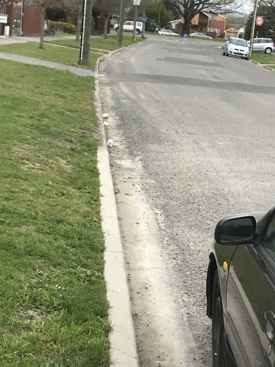 The photograph attached to this roading/streets report