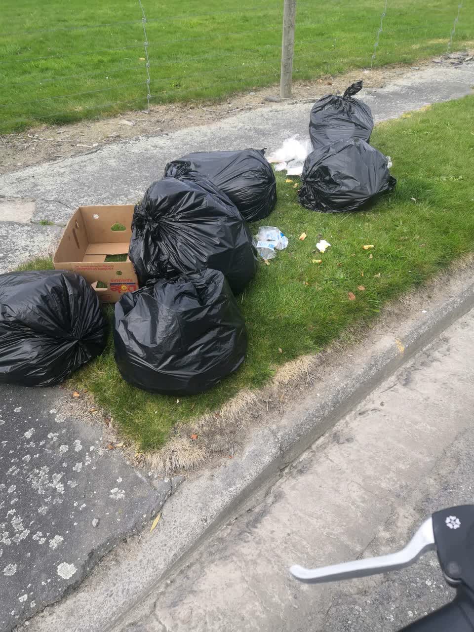The photograph attached to this rubbish/recycling report