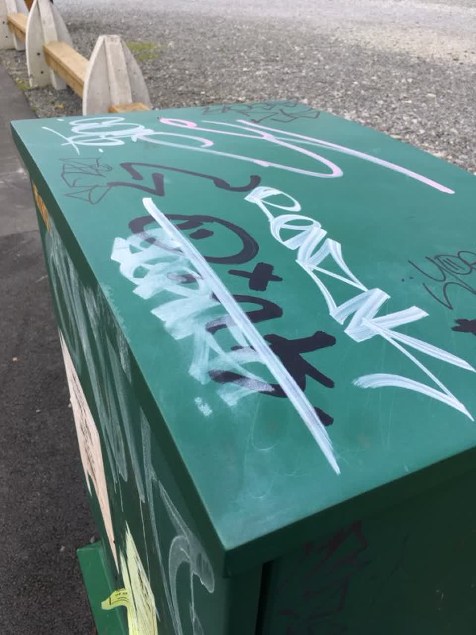 The photograph attached to this graffiti report