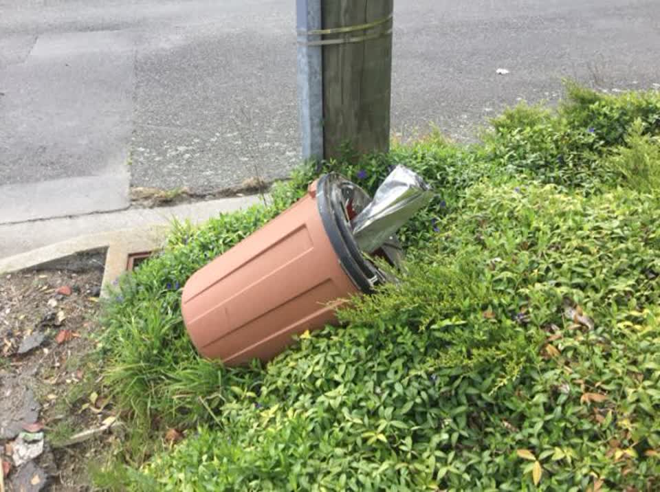 The photograph attached to this rubbish/recycling report