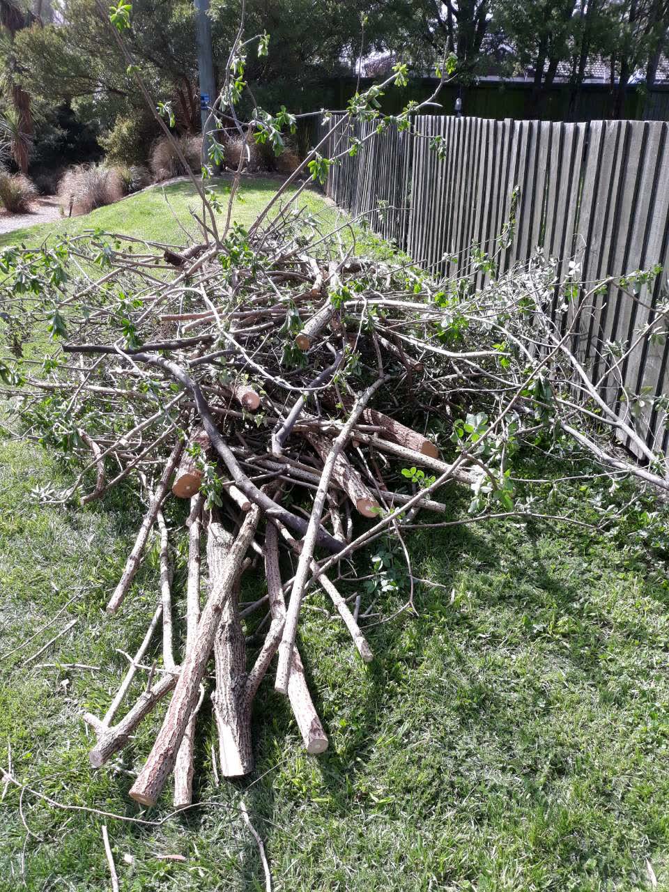 The photograph attached to this parks report