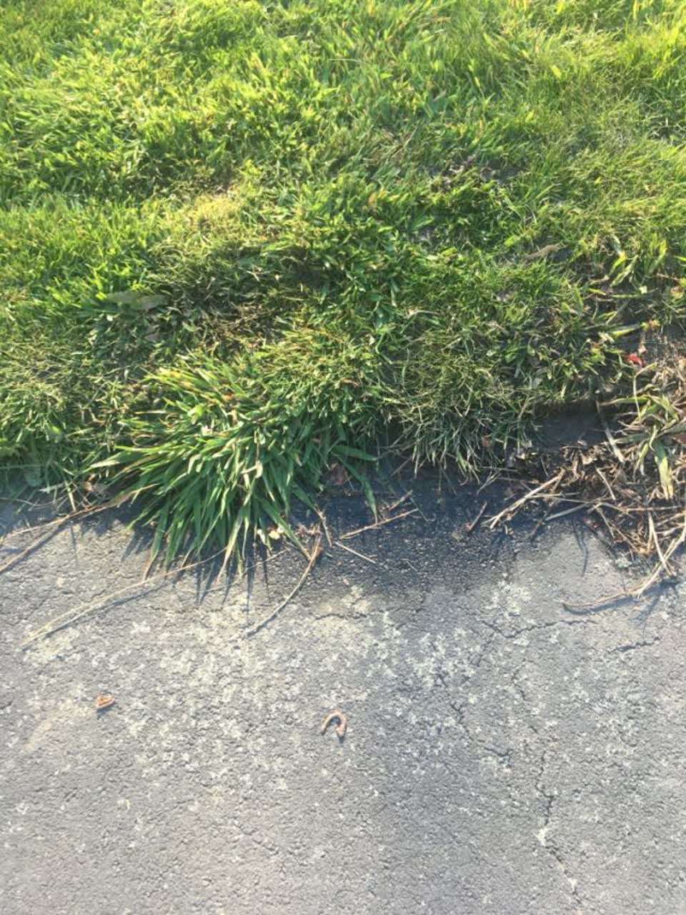 The photograph attached to this water supply report