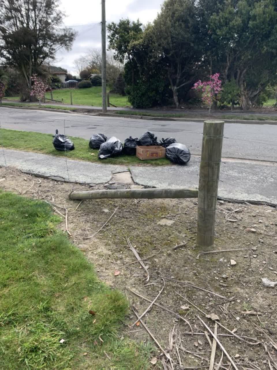 The photograph attached to this rubbish/recycling report