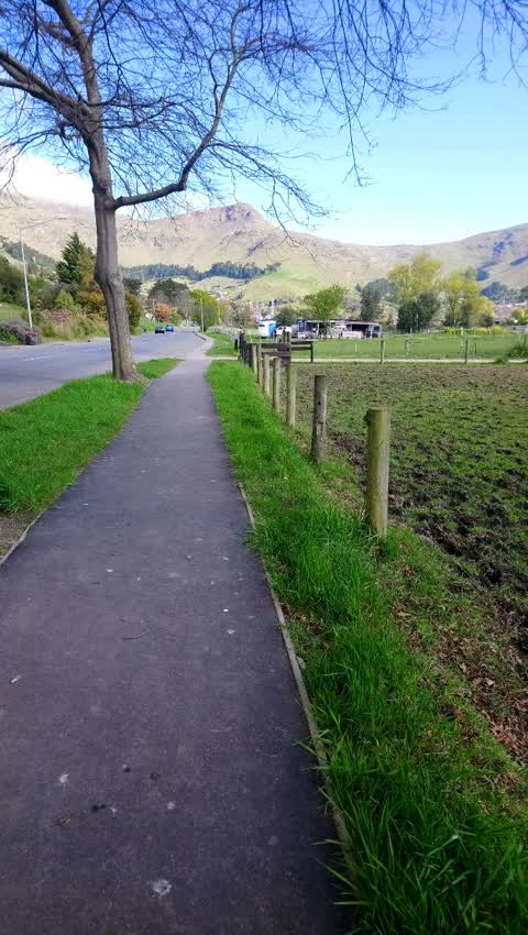 Roading/Streets, a report photo