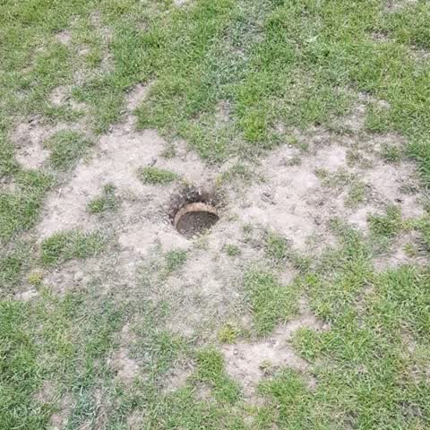 Parks, a report photo