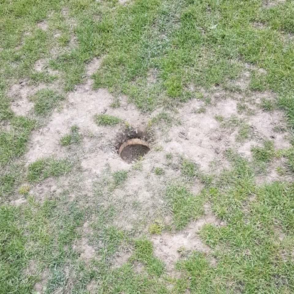 The photograph attached to this parks report