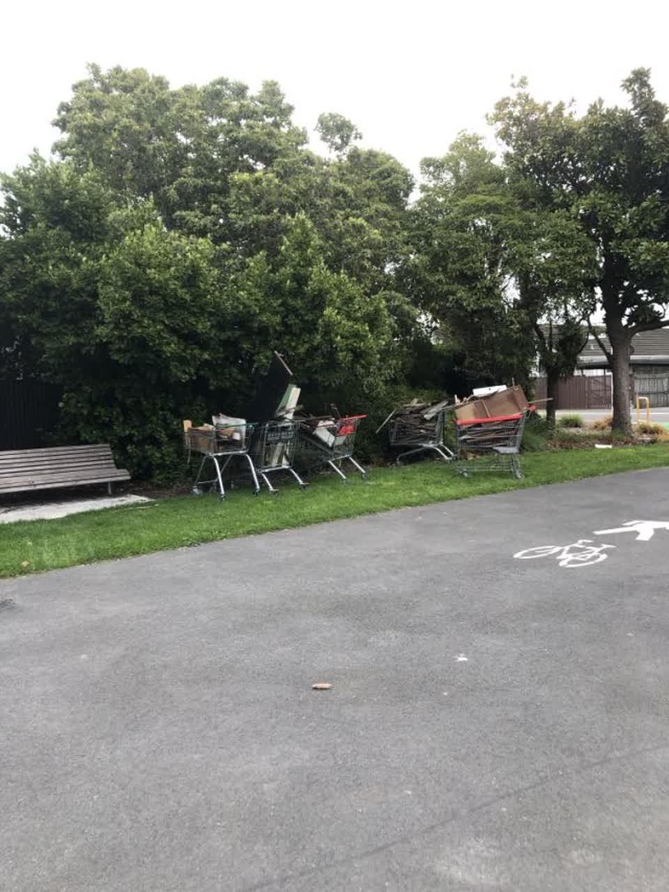The photograph attached to this rubbish/recycling report