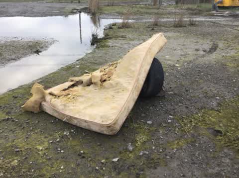 Rubbish/Recycling, a report photo