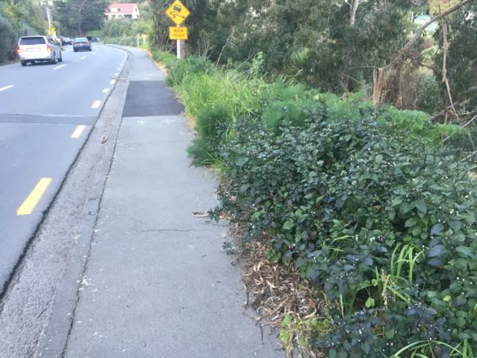 The photograph attached to this roading/streets report