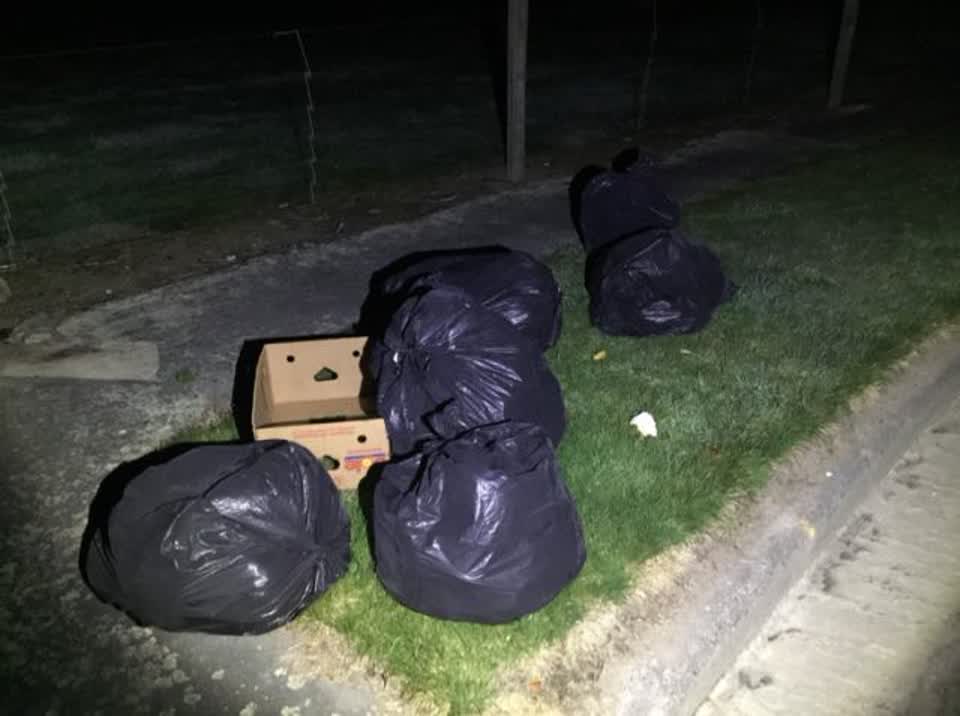 The photograph attached to this rubbish/recycling report