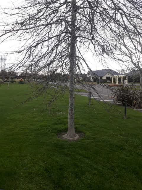 Parks, a report photo