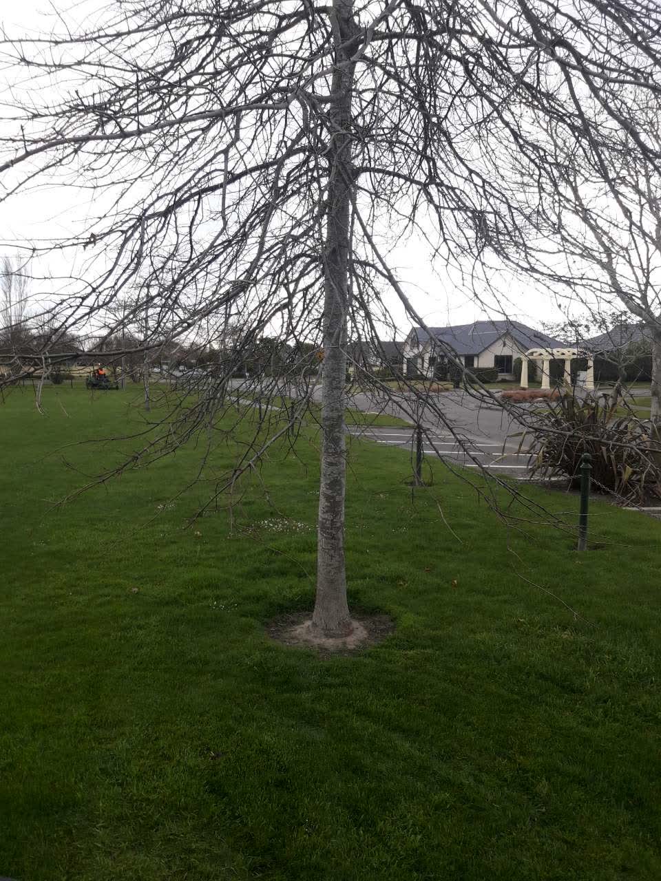The photograph attached to this parks report