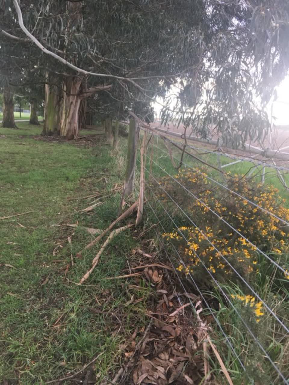 The photograph attached to this parks report