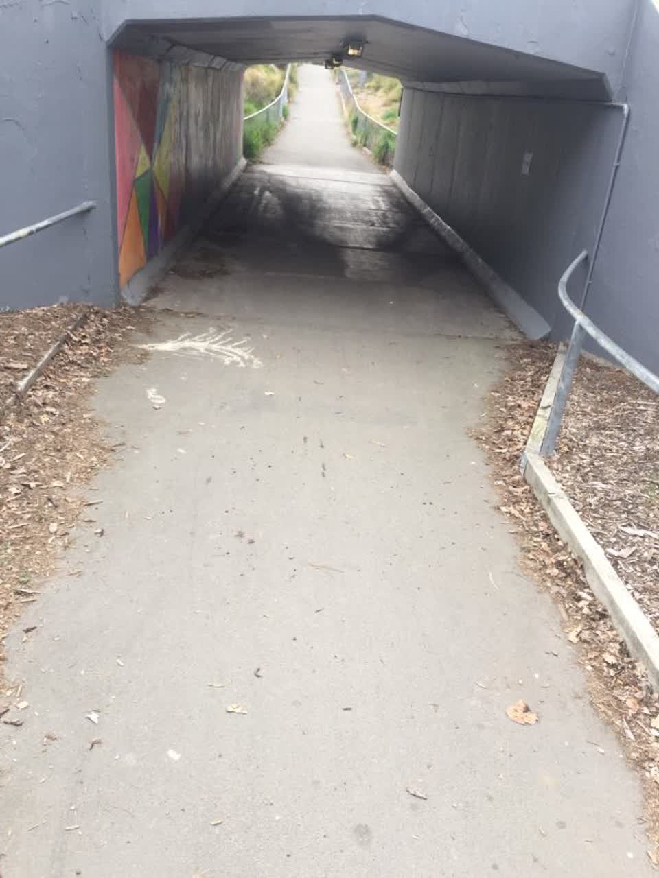 The photograph attached to this parks report
