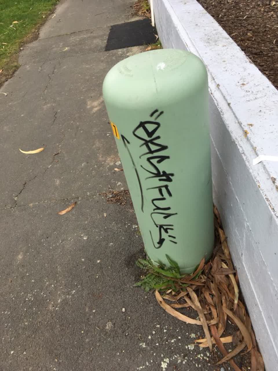 The photograph attached to this graffiti report