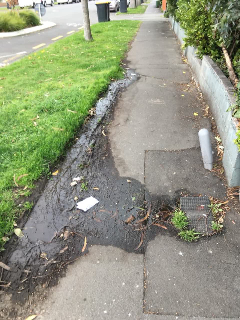 The photograph attached to this roading/streets report