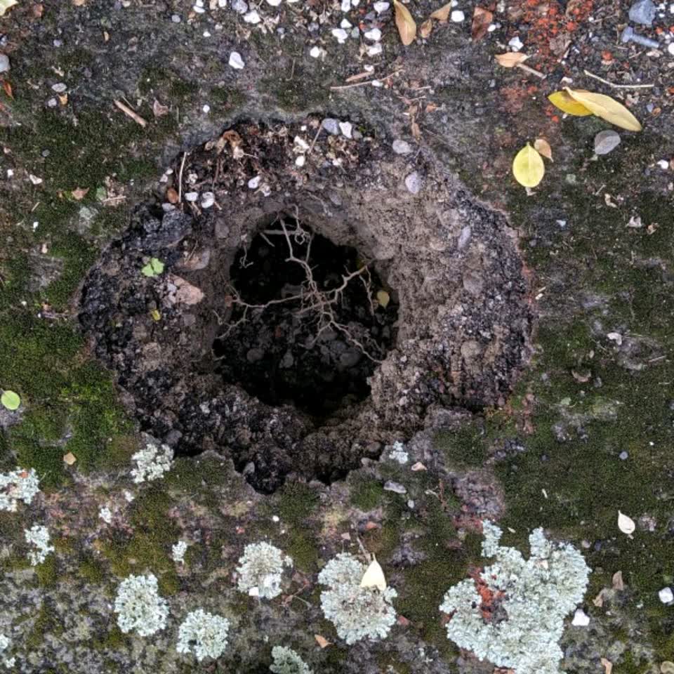 The photograph attached to this roading/streets report