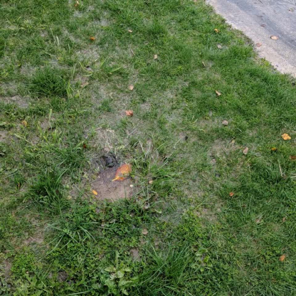 The photograph attached to this water supply report