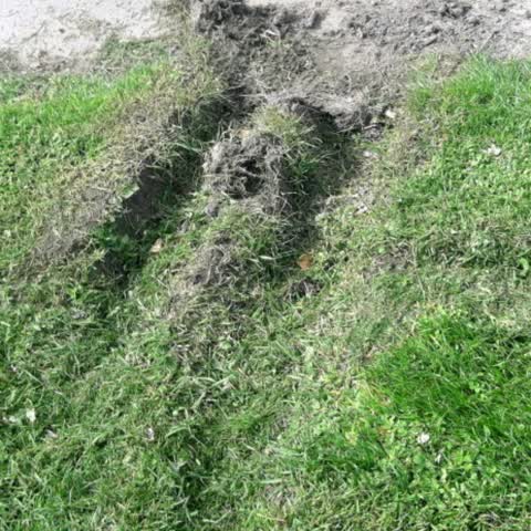 Parks, a report photo